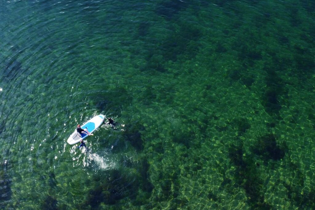 paddle boarding in the sea
